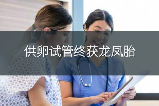 供卵试管终获龙凤胎