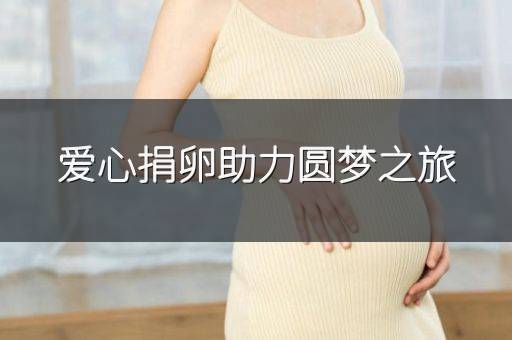 爱心捐卵助力圆梦之旅