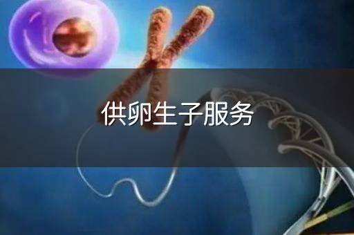 供卵生子服务
