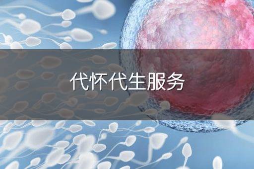代怀代生服务