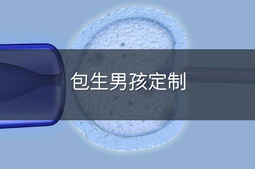 包生男孩定制