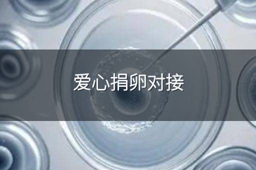 爱心捐卵对接