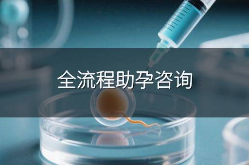 全流程助孕咨询